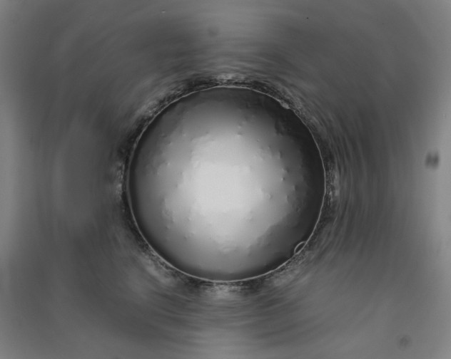 X0000090900664200708201719