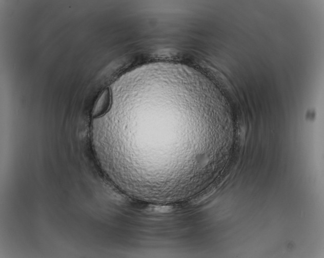 X0000090900665200708201719