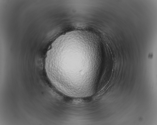 X0000090900666200708201719