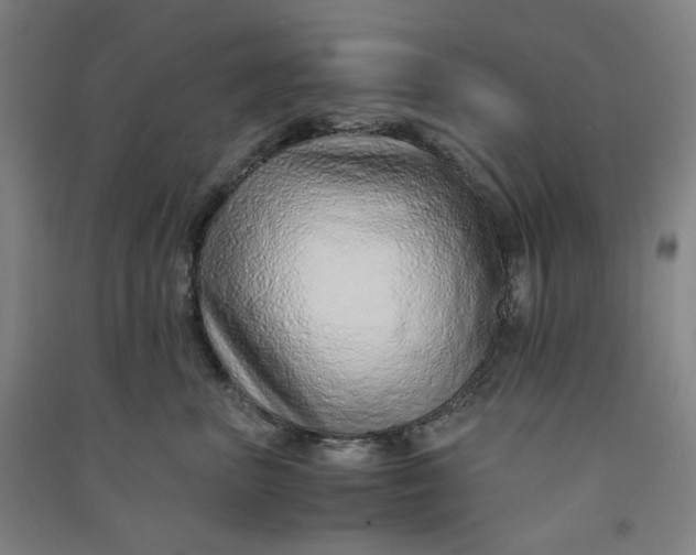 X0000090900667200708201719