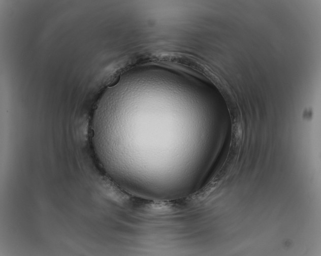 X0000090900668200708201719