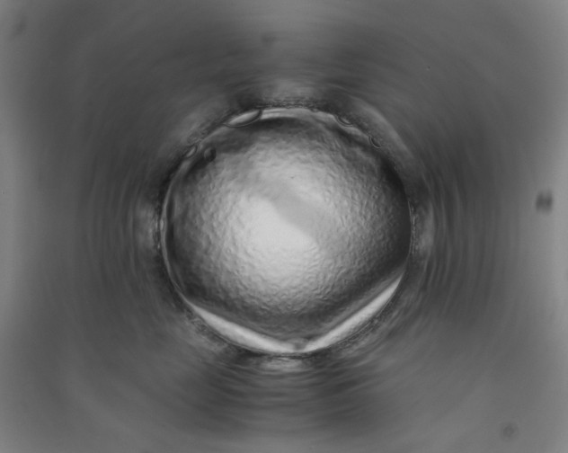 X0000090900669200708201719