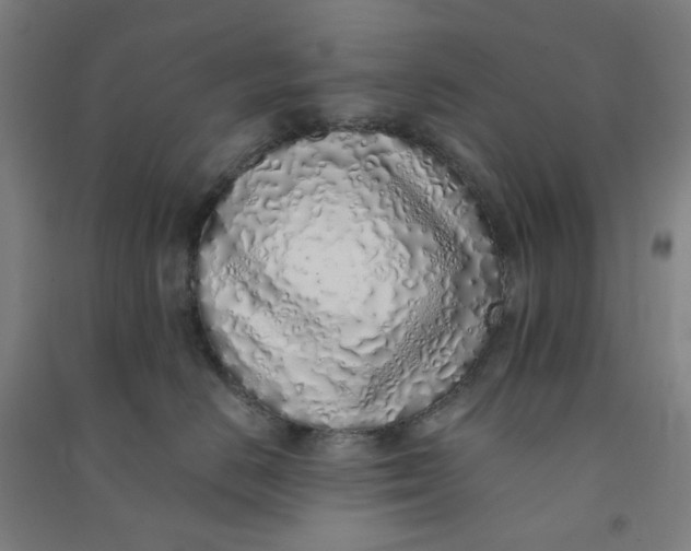 X0000090900670200708201719