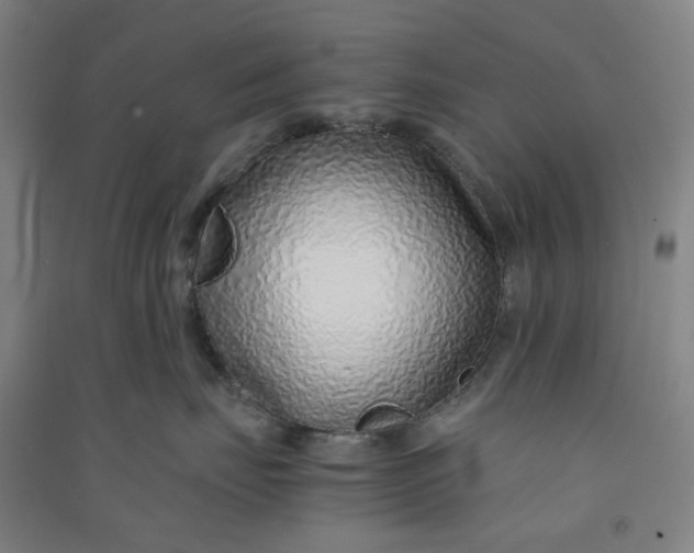 X0000090900671200708201719