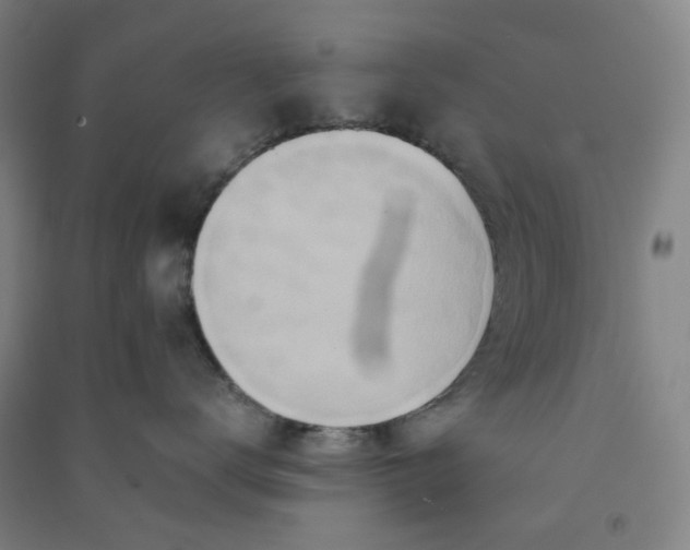 X0000090900672200708201719