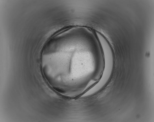 X0000090900673200708201718