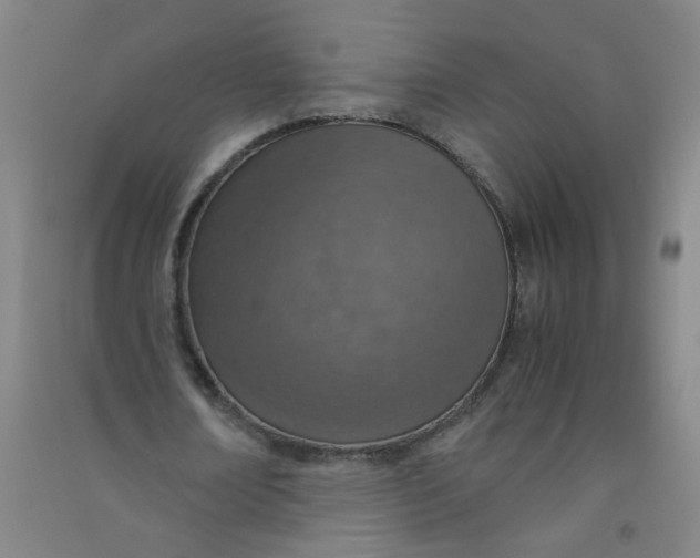 X0000090900674200708201718