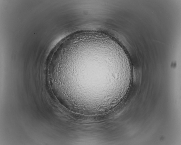 X0000090900675200708201718