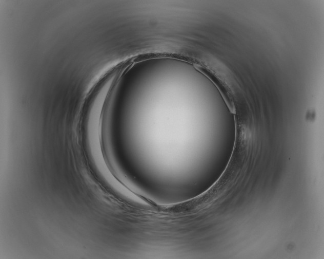 X0000090900676200708201718