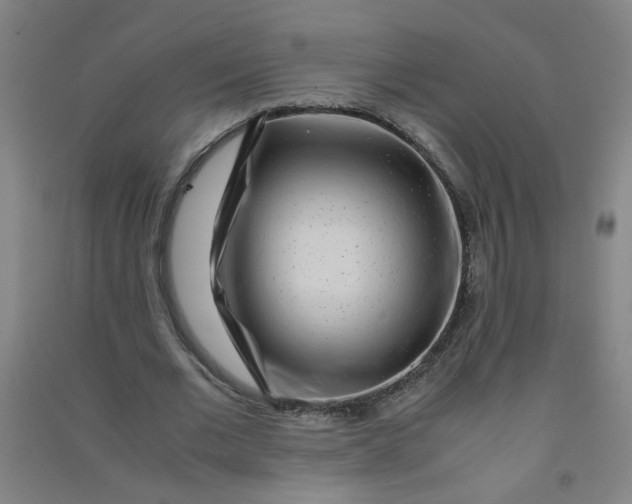 X0000090900677200708201718