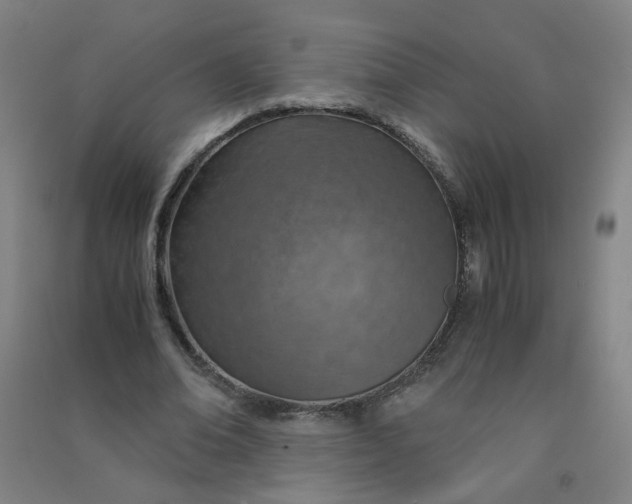 X0000090900678200708201718