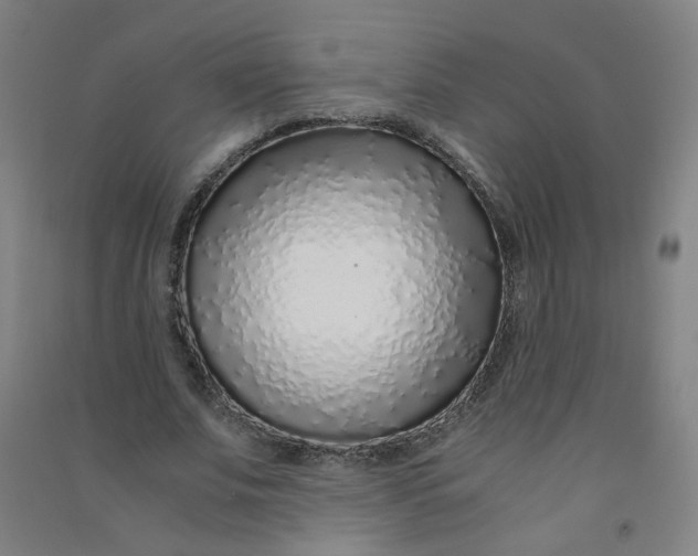 X0000090900679200708201718