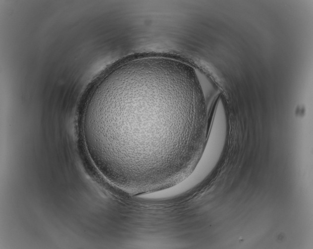 X0000090900680200708201718