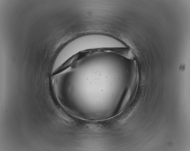 X0000090900681200708201718