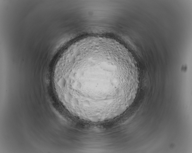 X0000090900683200708201718