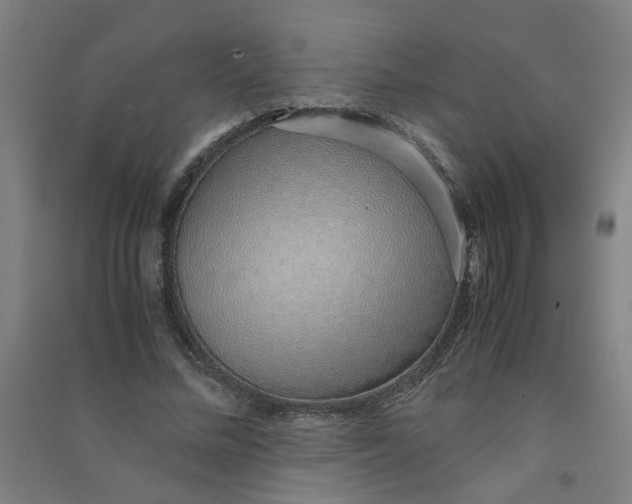 X0000090900684200708201718