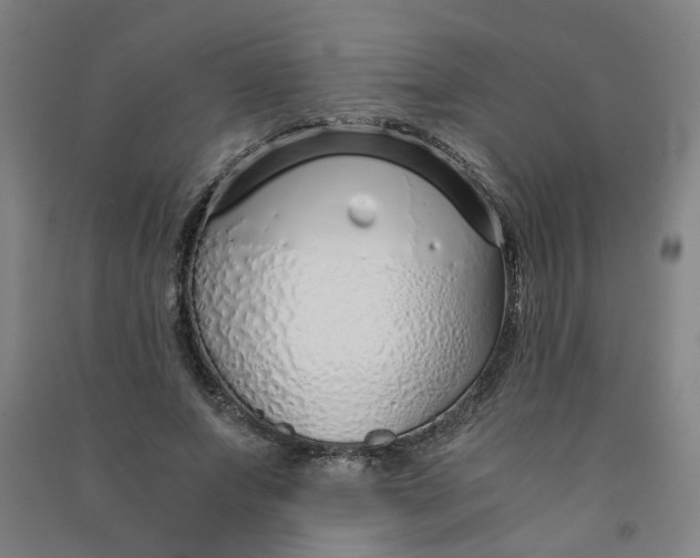 X0000090900687200708201718