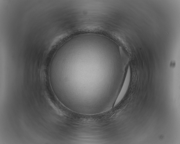 X0000090900688200708201718