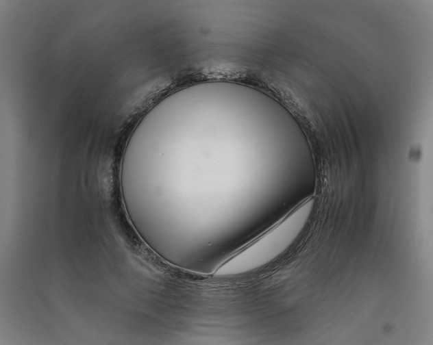 X0000090900690200708201718