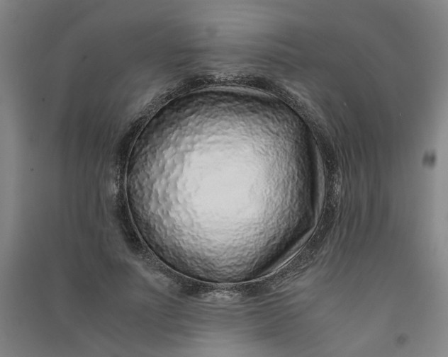 X0000090900691200708201718