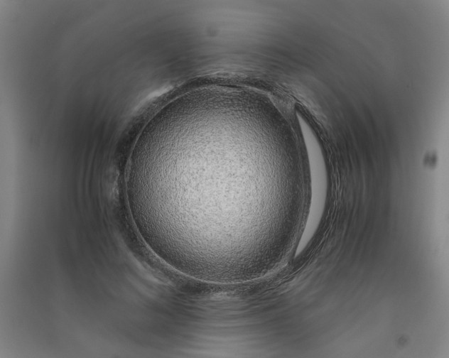 X0000090900692200708201718