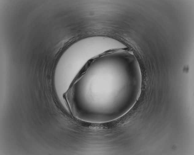 X0000090900693200708201718