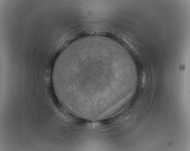 X0000090900695200708201718