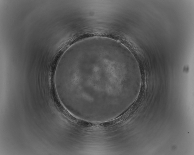 X0000090900696200708201718