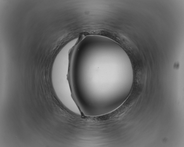 X0000090900697200708201718