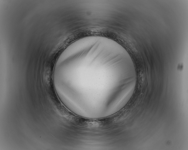 X0000090900698200708201718