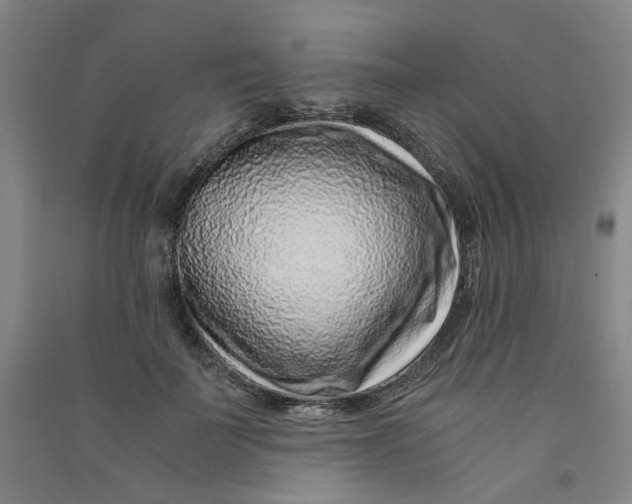 X0000090900699200708201718