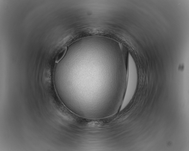 X0000090900700200708201718