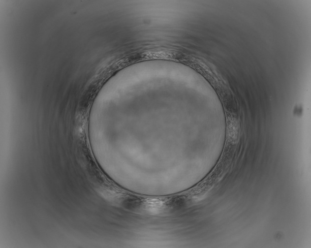 X0000090900701200708201718