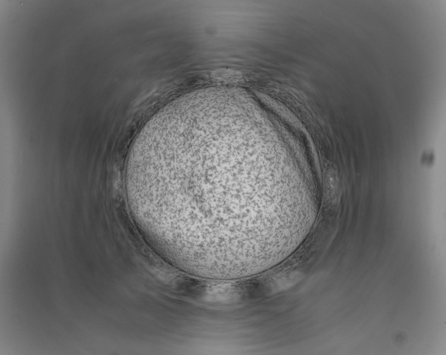 X0000090900705200708201718