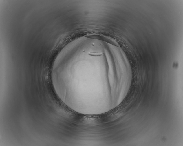 X0000090900706200708201718