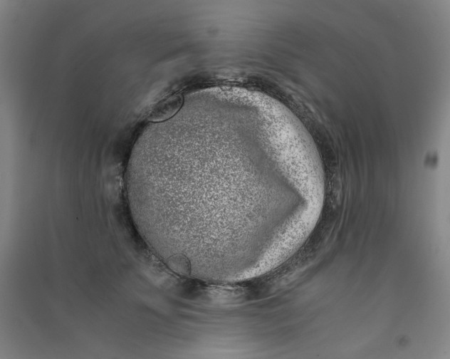 X0000090900707200708201718