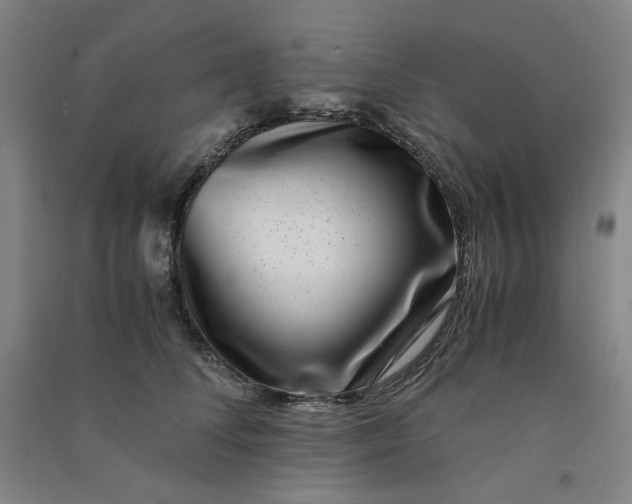 X0000090900708200708201718