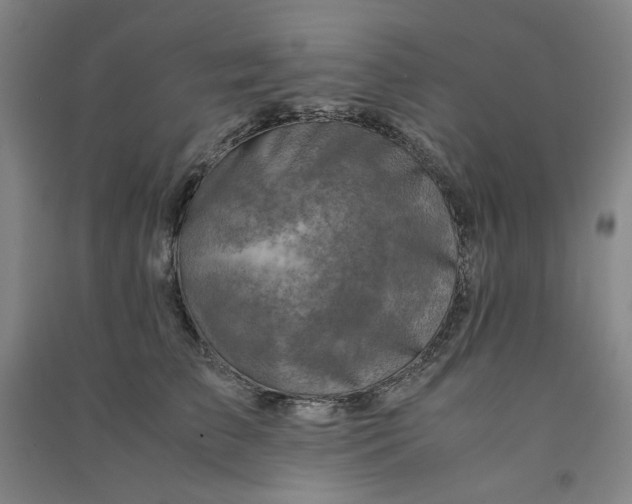 X0000090900709200708201718