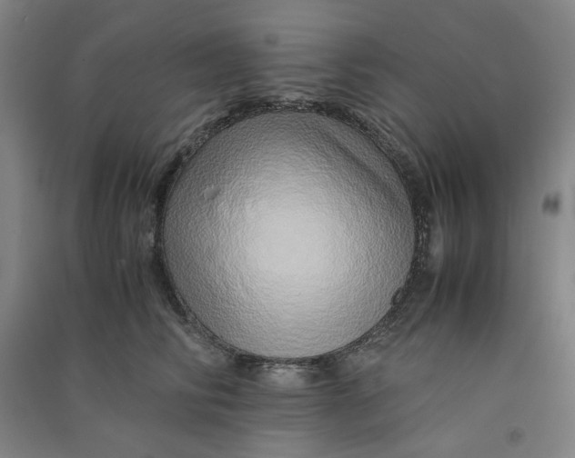 X0000090900710200708201718