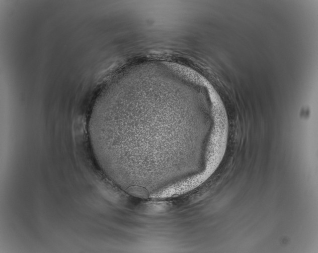 X0000090900711200708201718