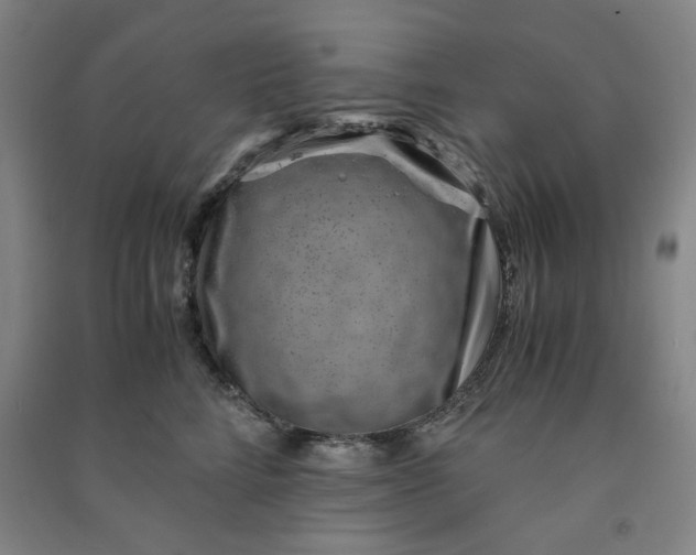 X0000090900712200708201718