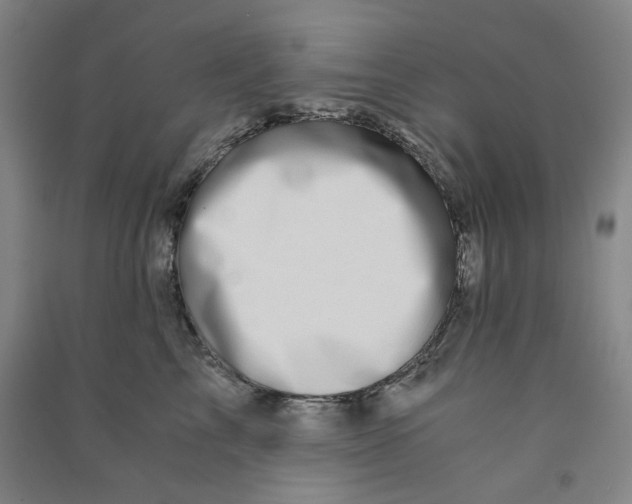 X0000090900713200708201718