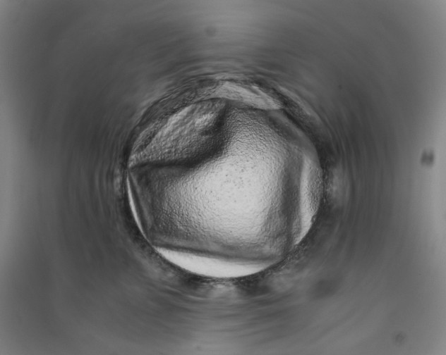 X0000090900715200708201718