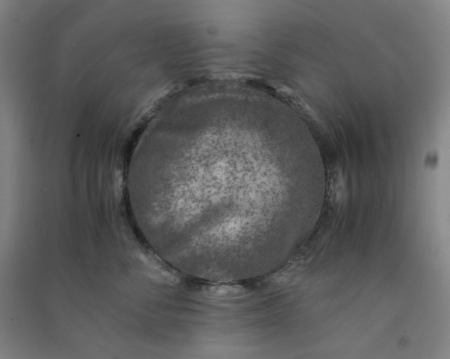 X0000090900716200708201718