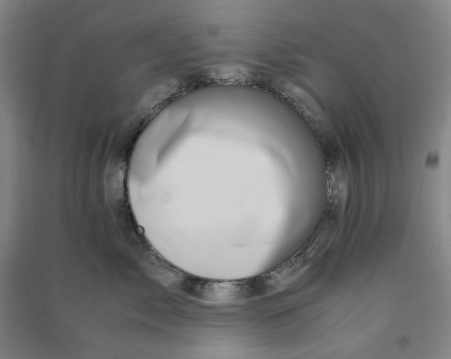 X0000090900717200708201718