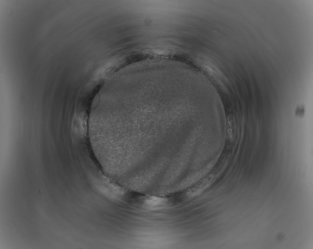 X0000090900718200708201718