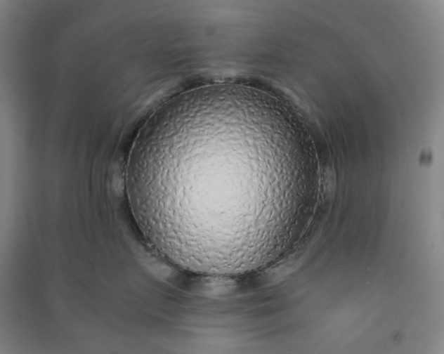 X0000090900719200708201718