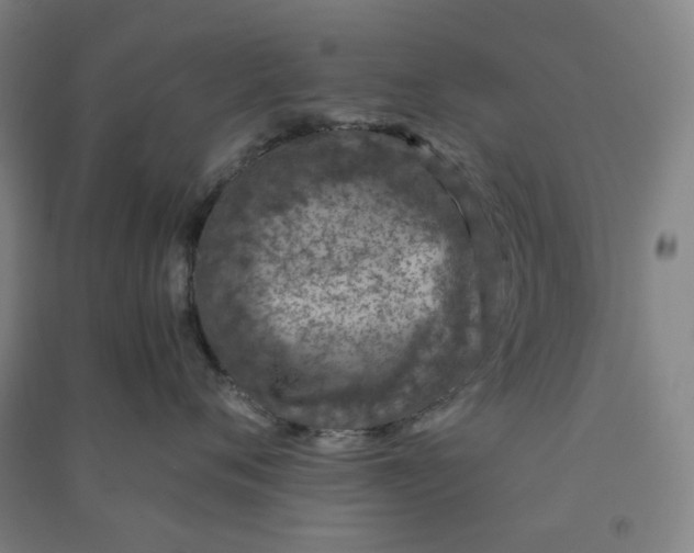 X0000090900720200708201718