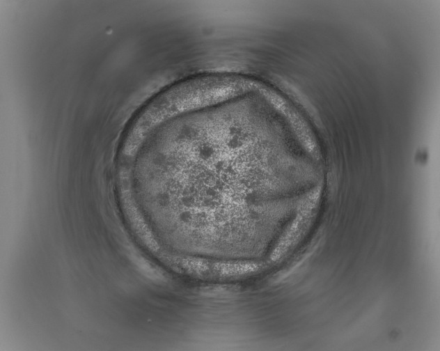 X0000090900721200708201717