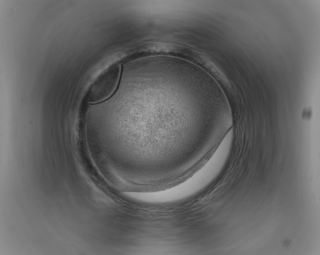 X0000090900722200708201717